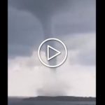 tromba marina rodi video