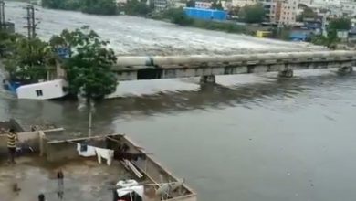 Photo of INDIA sferzata da PIOGGE RECORD: molte VITTIME per una tragica alluvione [VIDEO]