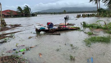 Photo of VIETNAM: decine di MORTI a causa del TIFONE MOLAVE