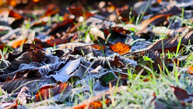 Photo of Grandi contrasti sull’Italia: FREDDO al Nord e punte di 18°C sulle Isole per lo SCIROCCO
