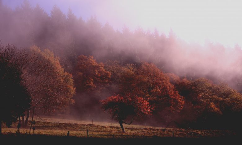 freddo ottobre autunno