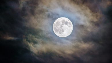 Photo of Superluna del raccolto 2025: spettacolo nel cielo il 7 ottobre
