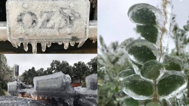 Photo of GELICIDIO eccezionale negli USA: 300 mila persone senza elettricità [VIDEO e FOTO]