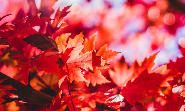 meteo weekend autunno halloween ognissanti ottobre novembre