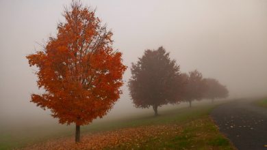 Photo of FREDDO in aumento: ecco dove sarà più sensibile il CROLLO TERMICO