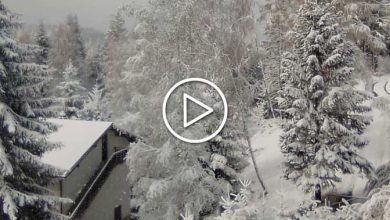 Photo of NEVE abbondante sulle ALPI: foto e VIDEO