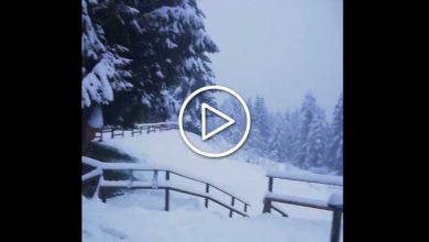 Photo of NEVE sulle Alpi, imbiancate anche quote più basse del normale [FOTO e VIDEO]