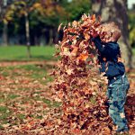 autunno foglie