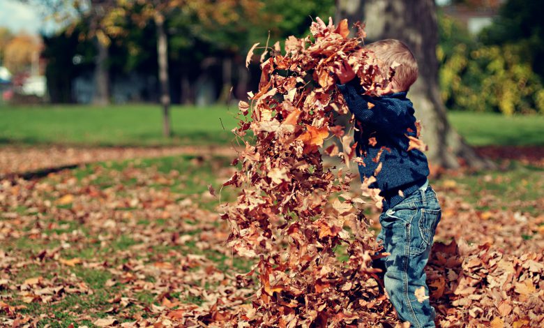 autunno foglie
