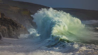 Photo of ONDA RECORD nei mari dell’IRLANDA: registrata un’onda alta 29 METRI