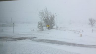 Photo of VIDEO – Tempesta invernale negli USA: MONTANA sommerso di NEVE