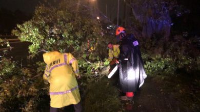 Photo of FLORIDA, non dà tregua la TEMPESTA ETA: sta attraversando il nord dello stato