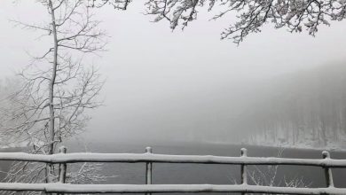 Photo of FOTO e VIDEO – La NEVE imbianca l’Appennino, anche sotto i 1000 metri