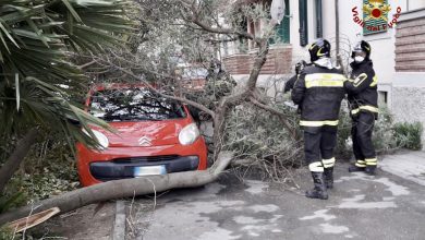 Photo of FOTO e VIDEO – VENTO FORTE al Centro-Sud: DANNI in diverse zone