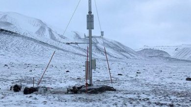 Photo of CALDO RECORD alle SVALBARD: sfiorati i 10 gradi dove di solito non si superano i -5