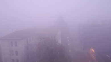 Photo of FOTO – La NEBBIA avvolge il Centro-Nord nel giorno di OGNISSANTI