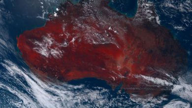 Photo of CALDO ESTREMO in AUSTRALIA: superati i 47 GRADI