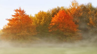 Photo of Prossimo WEEKEND ancora sotto l’ANTICICLONE? Le previsioni meteo