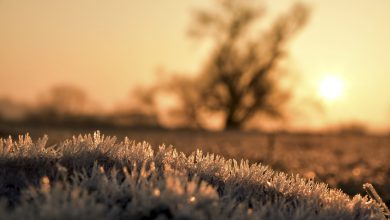 Photo of FREDDO, risveglio SOTTO ZERO in molte città: -6,5 GRADI vicino a Torino