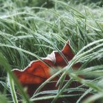 freddo gelo ghiaccio