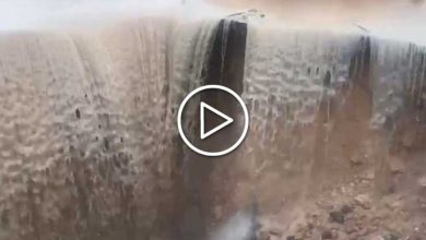 Photo of MALTEMPO in Calabria, enorme VORAGINE in strada a Isola Capo Rizzuto [VIDEO]