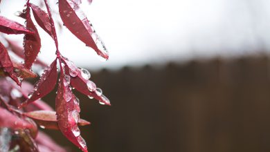 Photo of Meteo, CAMBIAMENTI IN VISTA: sta arrivando la prima perturbazione di NOVEMBRE. Le zone coinvolte