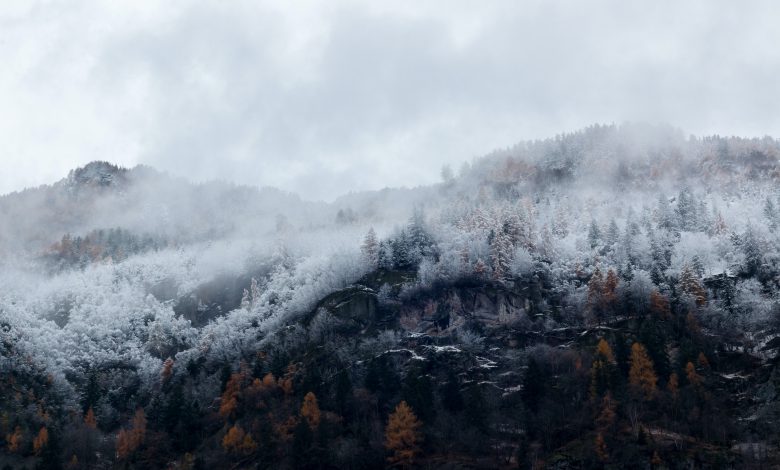 meteo inverno freddo neve