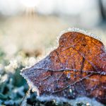 meteo inverno freddo autunno
