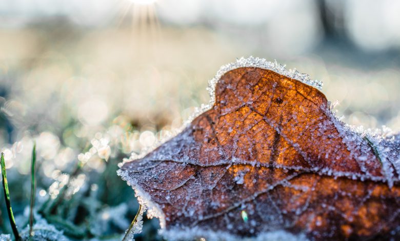 meteo inverno freddo autunno