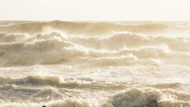 Photo of FREDDO più intenso anche a causa del WIND CHILL: sai di cosa si tratta?