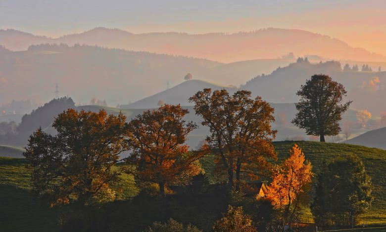 caldo autunno alba