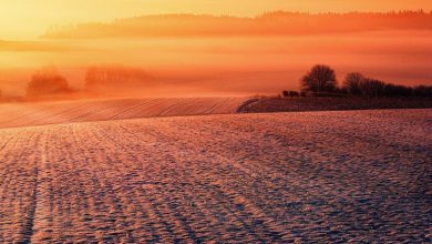 Photo of FREDDO in arrivo: nel weekend NETTO CALO delle temperature
