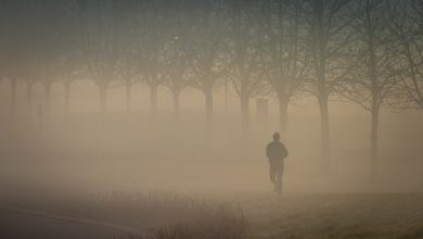 Photo of Nei prossimi giorni anticiclone e tempo stabile, ma torna l’insidia della nebbia