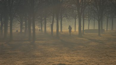 Photo of Primo freddo in Europa nord-orientale: il tempo cambia volto a fine settembre