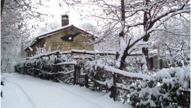 Photo of Come sarà l’inverno? Fatti e misfatti a proposito di previsioni stagionali