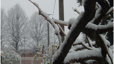 Photo of Nevicata sul Nord Italia, breve lezione meteo fotografica