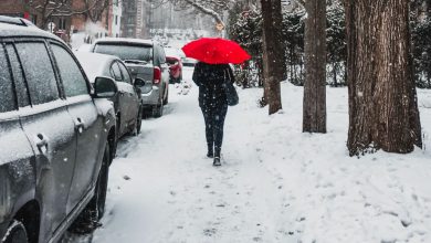 Photo of Torna la NEVE al Nord: accumuli e zone a rischio