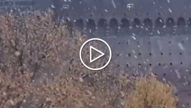 Photo of NEVE a MILANO e non solo: ecco chi si è svegliato sotto una coltre bianca! [FOTO e VIDEO]