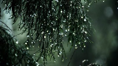 Photo of ALLERTA METEO fino ad ARANCIONE in Emilia Romagna: il bollettino