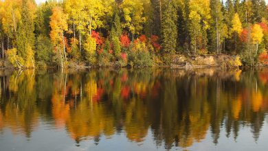 Photo of Clima, in Italia novembre estremo: molto più caldo e asciutto del normale, è arrivata metà della pioggia