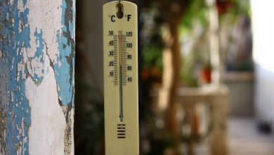 Photo of Risveglio mite oggi da Nord a Sud: temperature minime come a inizio novembre