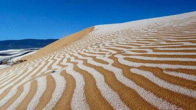 Photo of Immagini meravigliose del Sahara innevato