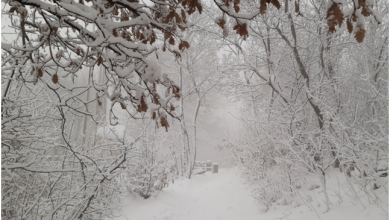 Photo of Neve e aritmetica: come l’intensità della precipitazione influenza il limite della neve