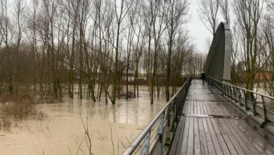 Photo of Allerta fiumi in Emilia-Romagna: il Po è salito di 3,5 metri in 24 ore