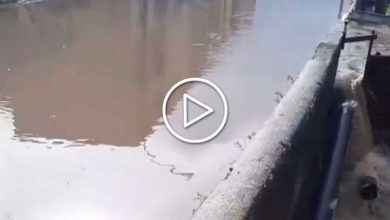 Photo of Domenica di MALTEMPO, esondazioni e ALLAGAMENTI: gli aggiornamenti