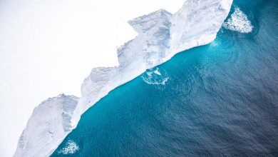 Photo of L’ICEBERG più grande del mondo si è rotto: il COLOSSO DI GHIACCIO grazia la Georgia del Sud