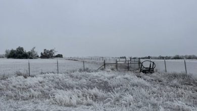 Photo of Gelo, molte VITTIME negli USA. In Texas è allarme acqua: SCOPPIANO I TUBI! [VIDEO]