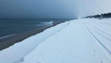 Photo of La NEVE sfiora Palermo e arriva FIN SULLA COSTA in Calabria! [FOTO]