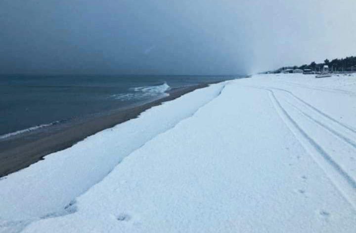 neve