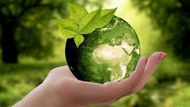 Photo of CLIMA e AMBIENTE in crisi, l’Onu: «possiamo ancora FARE PACE con la natura»